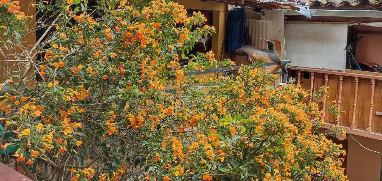 Los Apus Ollantaytambo Bagian luar foto
